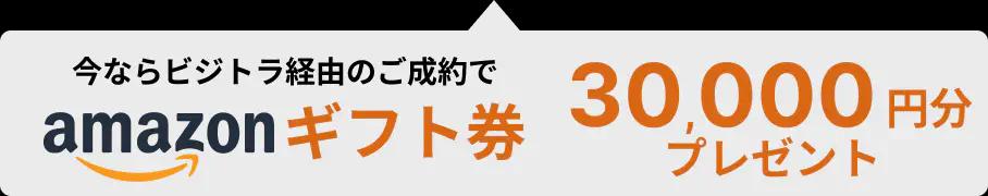 アマゾンギフト券30,000円分プレゼント