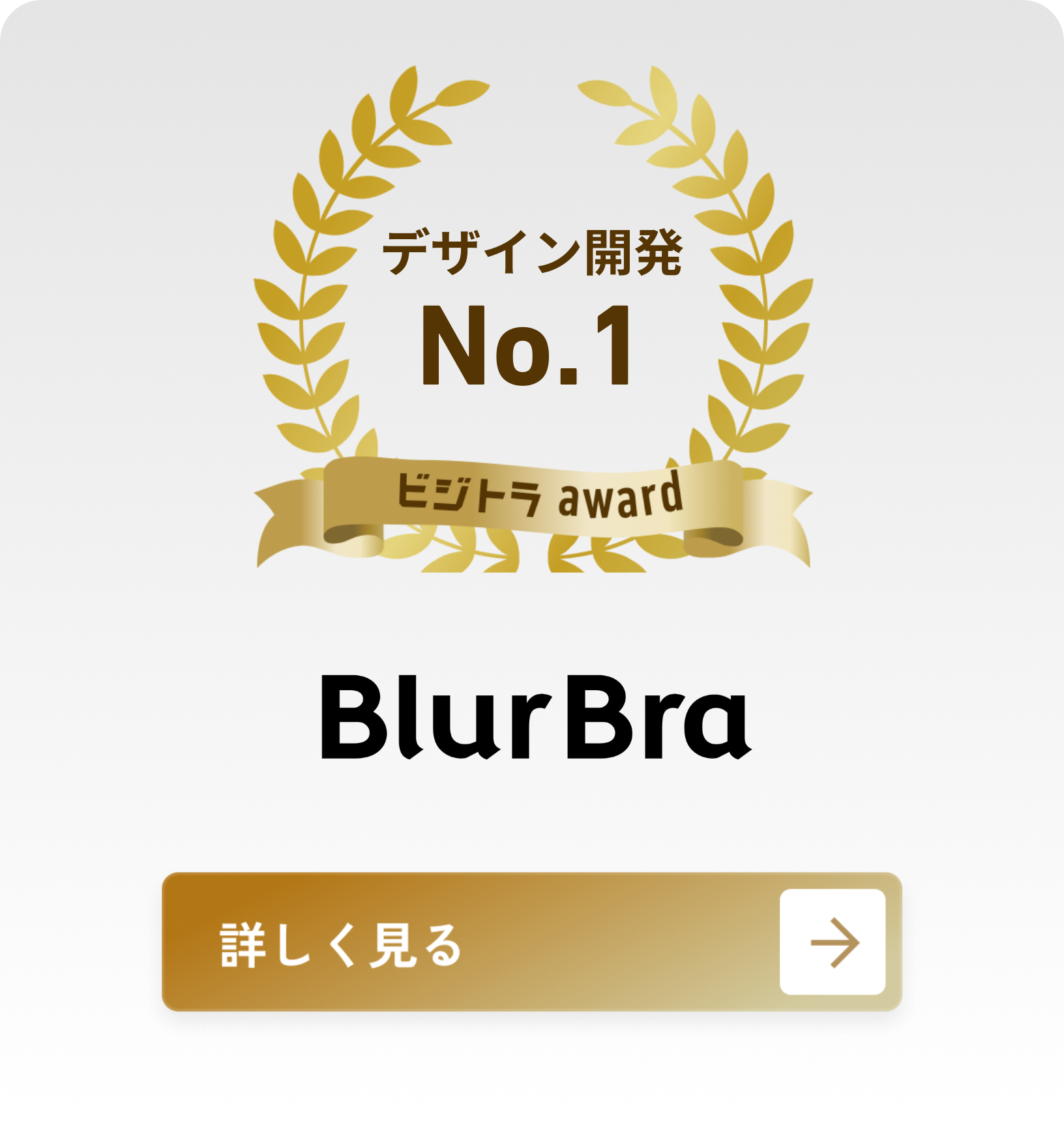 株式会社BlurBra