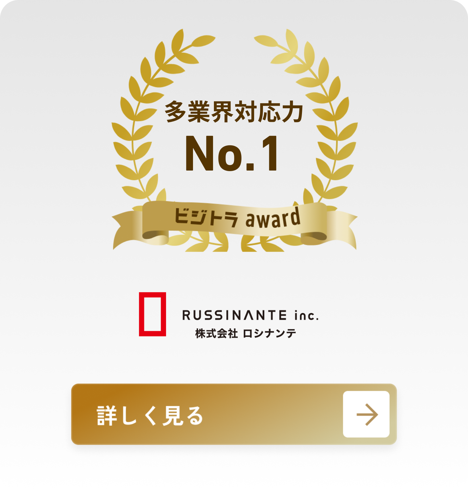株式会社ロシナンテ