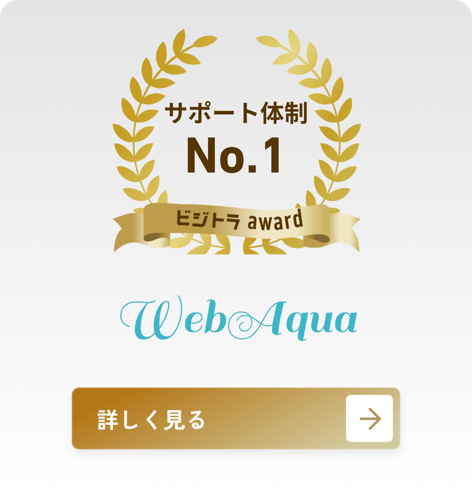 Web Aqua合同会社
