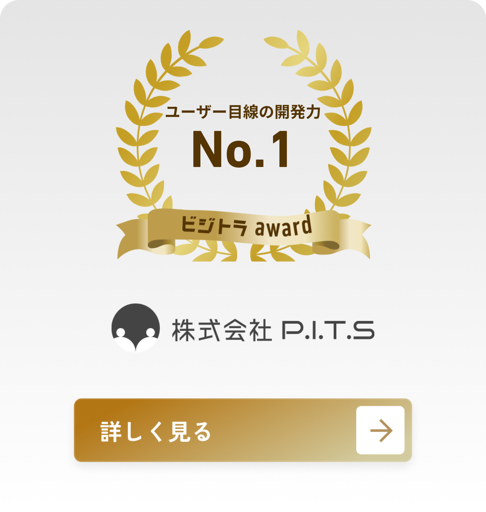 株式会社P.I.T.S