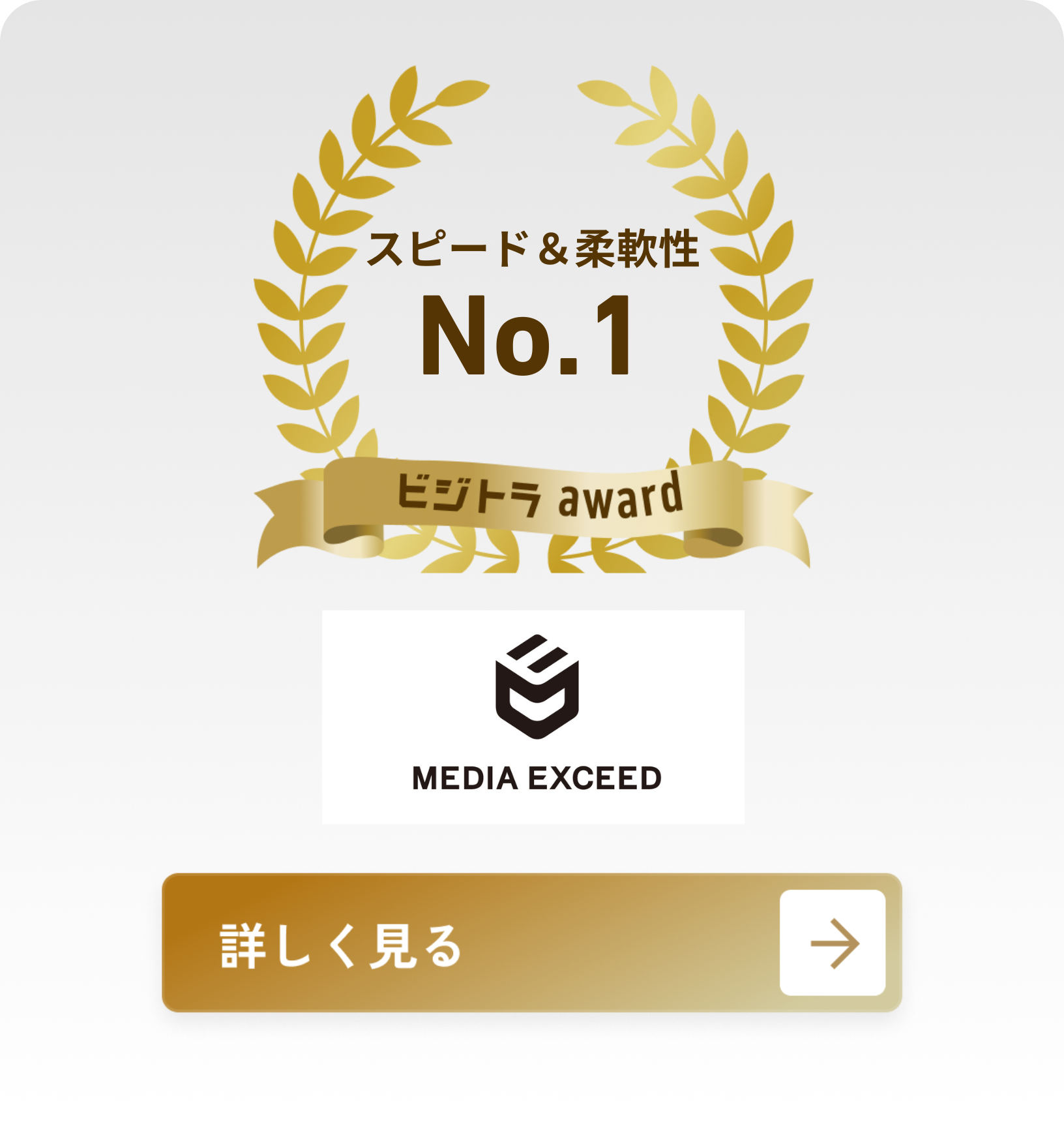株式会社メディアエクシード