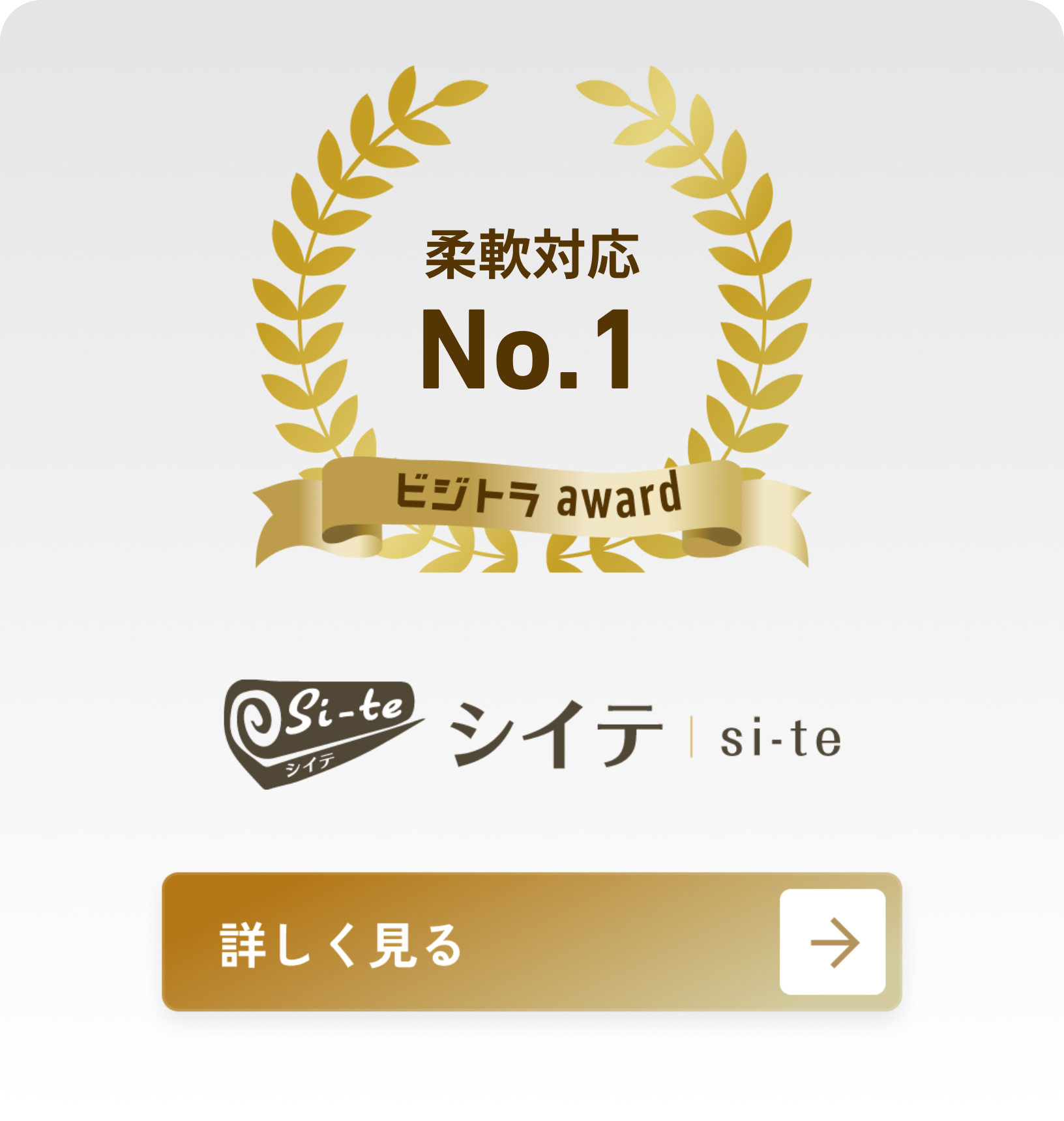 株式会社シイテ