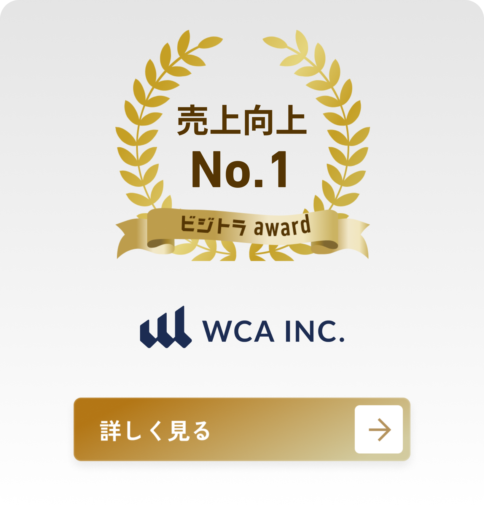 株式会社ＷＣＡ