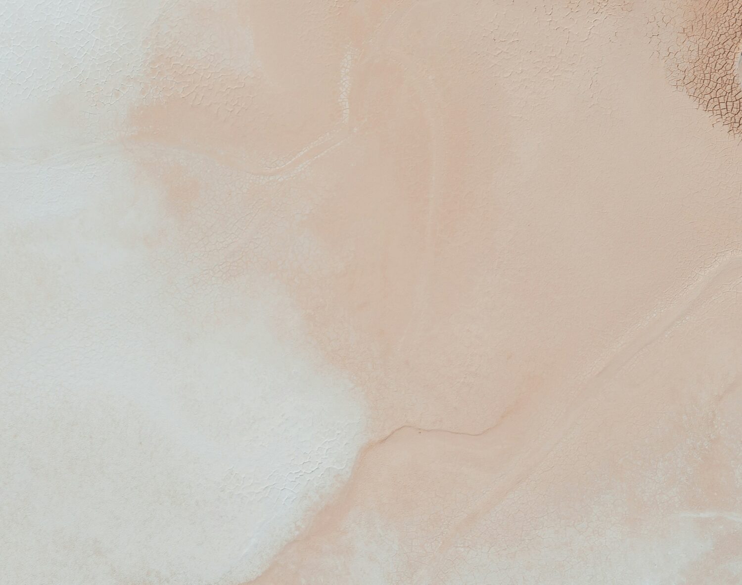 人材紹介サービス