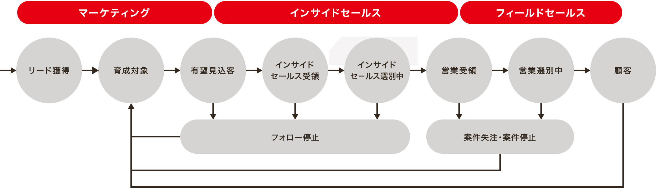 リードライフサイクル