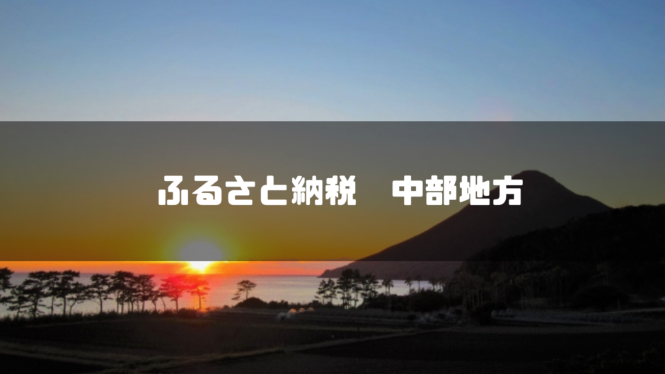 ふるさと納税　中部地方