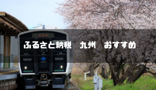 【2024年最新】九州地方のおすすめふるさと納税30選！返礼品や寄付金の使い道もご紹介